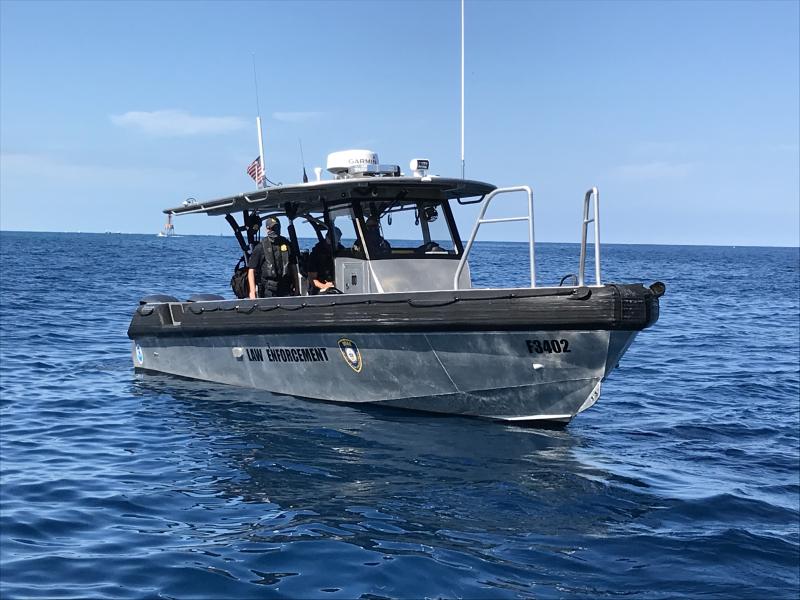 Chartered fishing new arrivals